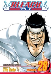 Bleach Volume 28 (Tite Kubo)