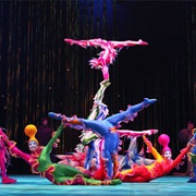 See a Cirque Du Soleil Show