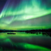See the Northern Lights