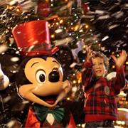 Celebrate the Season