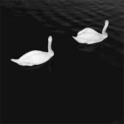 Cashmere Cat Featuring Ariana Grande - Adore