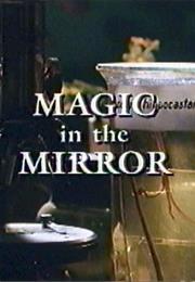 Magic in the Mirror: Fowl Play