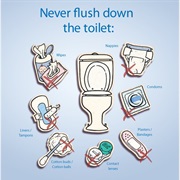 Know What Can Be Flushed Down the Toilet.