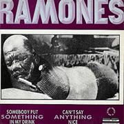 SOMEBODY PUT SOMETHING IN MY DRINK - THE RAMONES