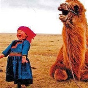 Spend Time Each Day Doing Laughter Yoga