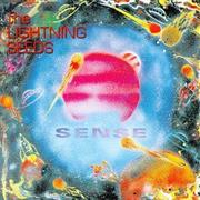 The Lightning Seeds - Sense