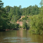 Cliffs of the Neuse State Park, North Carolina