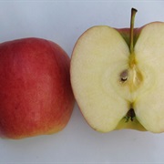 Ambrosia Apple