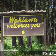 Wahiawa