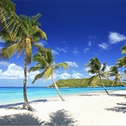 Tobago Cays Marine Park, St. Vincent & the Grenadines