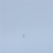 Skee Mask - Compro (2018)