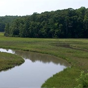 Chesapeake Bay-Virginia National Estuarine Research Reserve