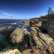 Shore Acres State Park, Oregon
