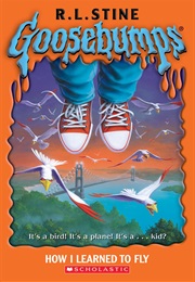 How I Learned to Fly (R.L. Stine)