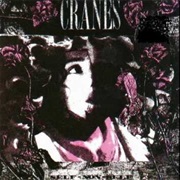 Cranes — One From the Slum