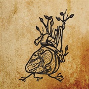 Ephemeral Sun - Harvest Aorta