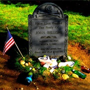 John Belushi (Chilmark, MA)