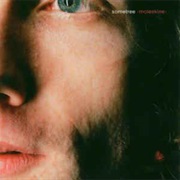 Sometree - Moleskine