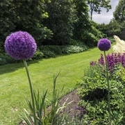 Les Jardins Des Renaudies