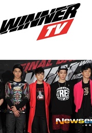 Winner TV (2013)