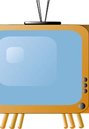 The Witness (TV Series)