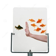 Experienced Racism Directed at an Ethnicity You're Not Even Part Of