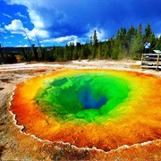 Go to Yellow Stone With the Kids