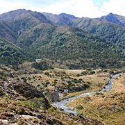 Waikapakihi Hut , Kaimanawa Forest Park