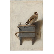 The Goldfinch - Carel Fabritius