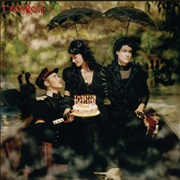Raphael by Cocorosie
