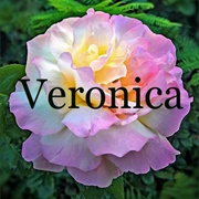 Veronica
