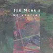 Joe Morris ‎– No Vertigo