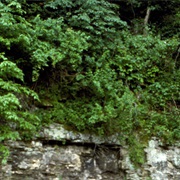 Driftless Area National Wildlife Refuge