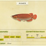 Arowana