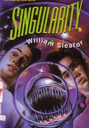 Singularity (William Sleator)