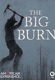 The Big Burn (2015)