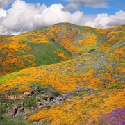 Walker Canyon, California