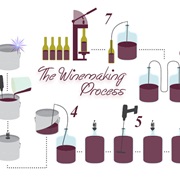 Winemaking