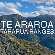 Tararua Ranges Te Araroa