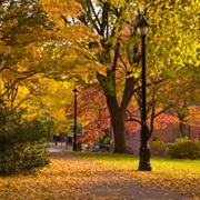 Piscataway, New Jersey