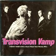 I Want Your Love (I Don't Want Your Money Mix) - Transvision Vamp