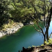 Pelorus River Track