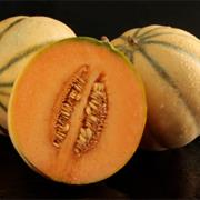 Charentais Melon