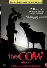 The Cow