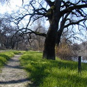 Bidwell-Sacramento River State Park
