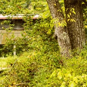 Sunfish Creek State Forest, Ohio