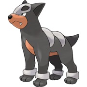 Houndour