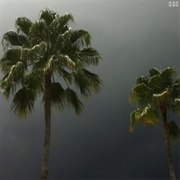 Runnin' Through the 7th With My Woadies - $Uicideboy$