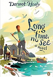 Long Time, No See (Dermot Healy)