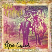 Steve Cradock ‎– Travel Wild - Travel Free